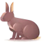 Rabbit icon 64x64