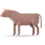 Bull icon 64x64