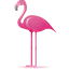 Flamingo icon 64x64