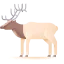 Elk icon 64x64