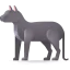 Cat icon 64x64