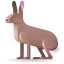 Hare ícono 64x64