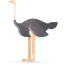 Ostrich ícono 64x64