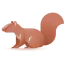 Squirrel icon 64x64