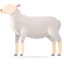 Sheep ícono 64x64