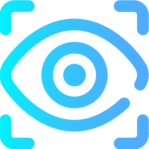 Vision icon