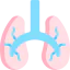 Lungs Ikona 64x64