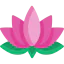 Lotus icône 64x64