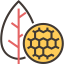 Molecular icon 64x64