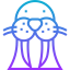 Walrus icon 64x64