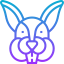 Rabbit icon 64x64