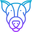 Dog icon 64x64