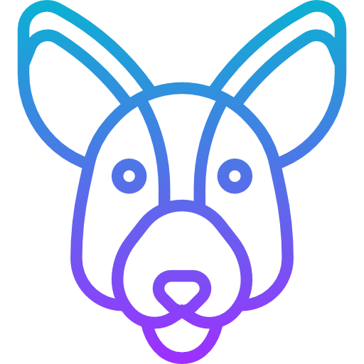 Kangaroo icon