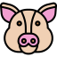 Pig icon 64x64