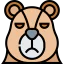 Bear icon 64x64