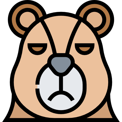 Bear icon