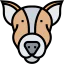 Dog icon 64x64