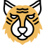 Tiger icon 64x64
