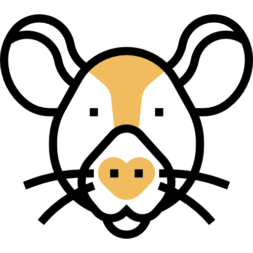 Rat icon