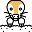 Mole icon 64x64