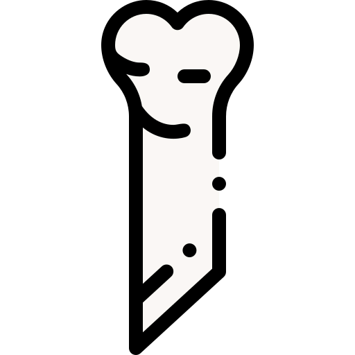 Bone icon