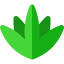 Agave 图标 64x64
