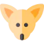 Chihuahua 图标 64x64