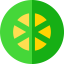 Lime 图标 64x64