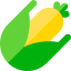 Maize 图标 64x64