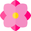 Dalia 图标 64x64
