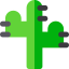 Cactus 图标 64x64