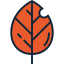 Leaf icon 64x64