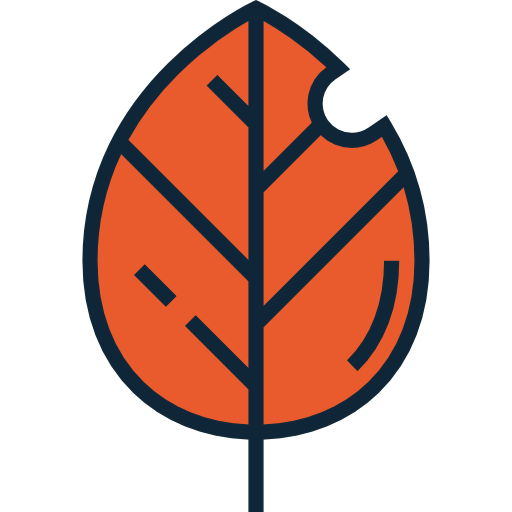 Leaf icon