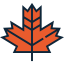 Maple leaf icon 64x64