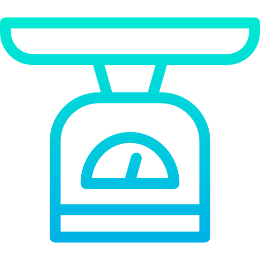 Scale icon