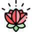 Lotus icon 64x64