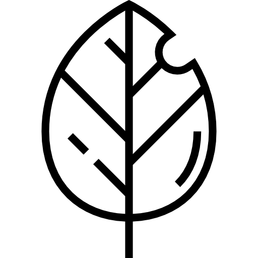 Leaf icon