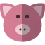 Pig icon 64x64