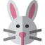 Bunny icon 64x64