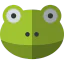 Frog icon 64x64