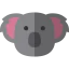 Koala icon 64x64