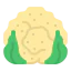 Cauliflower ícono 64x64