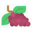 Grapes アイコン 64x64