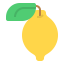 Lemon ícono 64x64