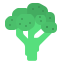 Broccoli Symbol 64x64
