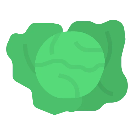 Cabbage icon