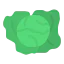 Cabbage biểu tượng 64x64