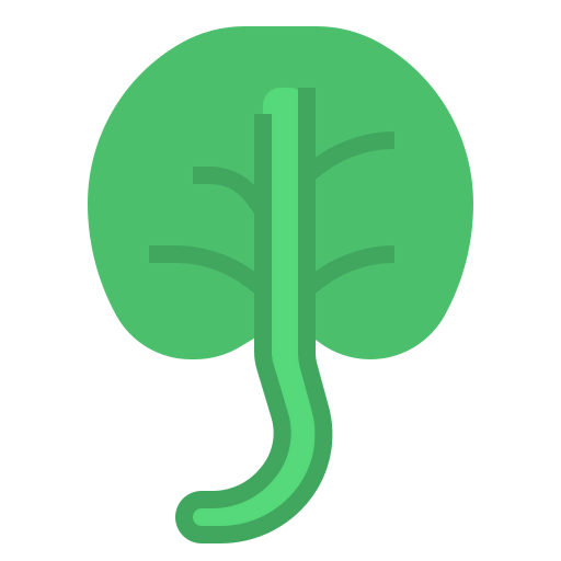 Шпинат иконка