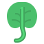 Spinach icon 64x64
