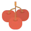 Cherry ícono 64x64